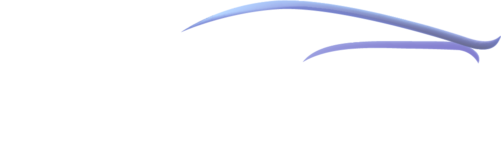 Sleek Auto Detailing